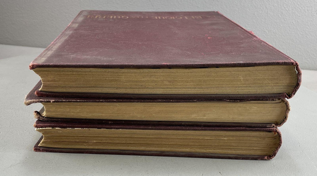 La Belgique et la Guerre | Three-Volume Antique World War I Belgian History Set (1921–1923)