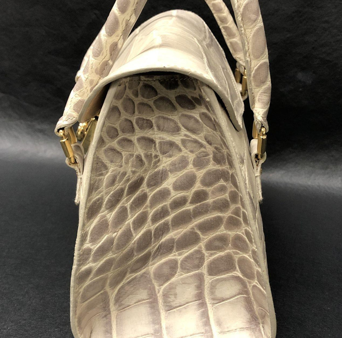 (DUPLICATE) Dooney & Bourke White Leather Croc Embossed Satchel Handbag