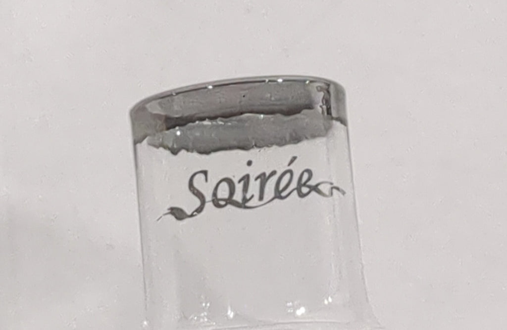 CONTEMPORARY Soiree Luxury Sport Travel Wine Aerator with Protective Case