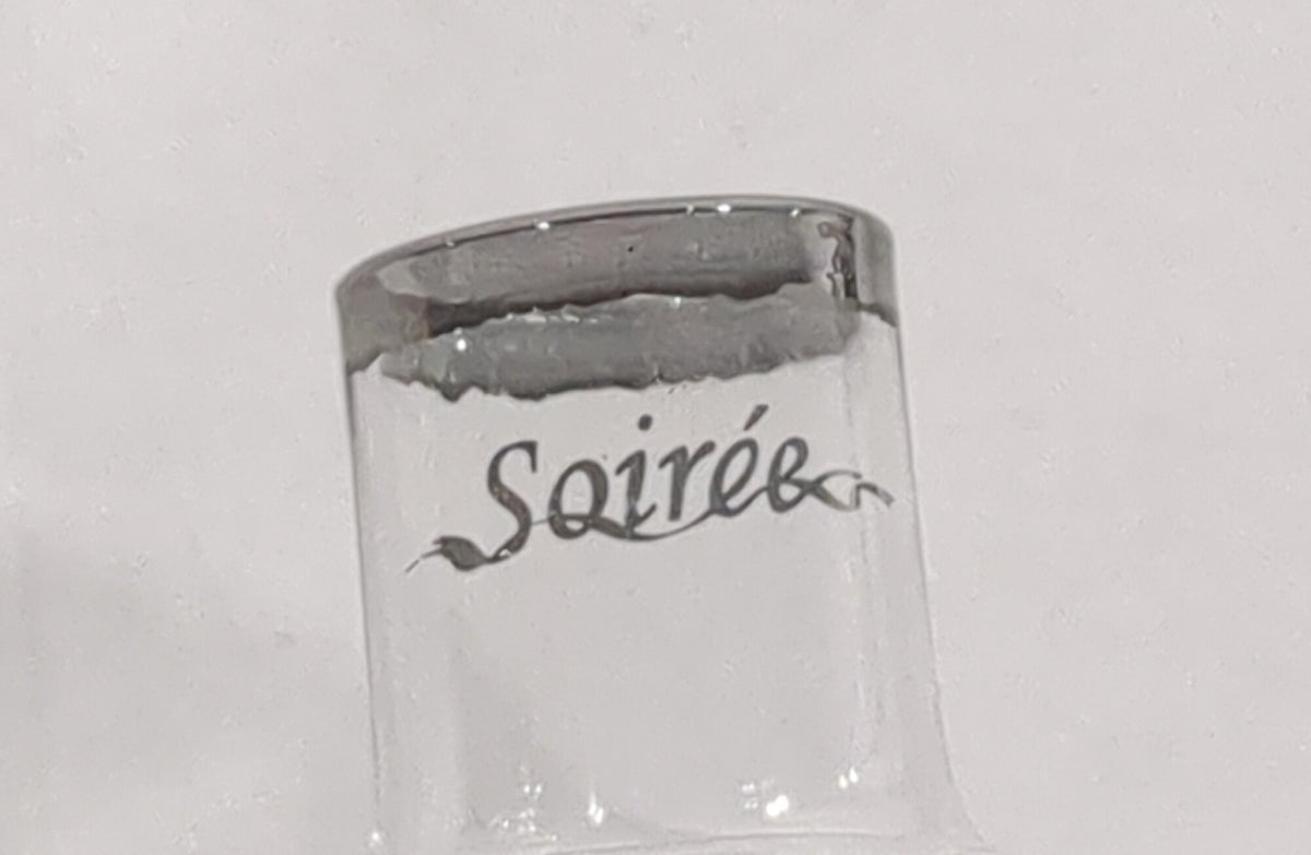CONTEMPORARY Soiree Luxury Sport Travel Wine Aerator with Protective Case