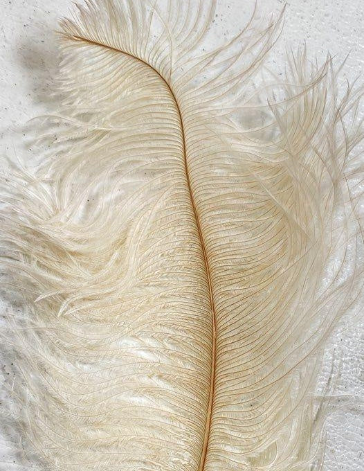 Vintage White Ostrich Style Feather Pen
