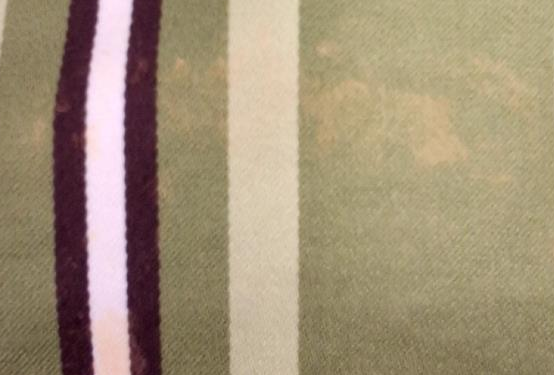 Kate Spade green striped canvas tote with brown leather handles, view 4