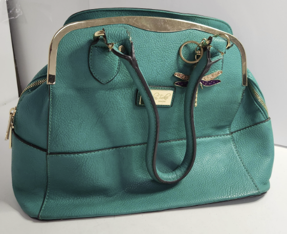 Carolyn Tucker Teal Pebbled Satchel Handbag with Gold Tone Frame and Dragonfly Charm