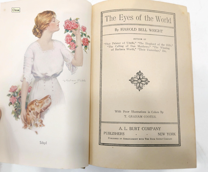 The Eyes of the World by Harold Bell Wright, 1914 A. L. Burt illustrated hardcover, view 3