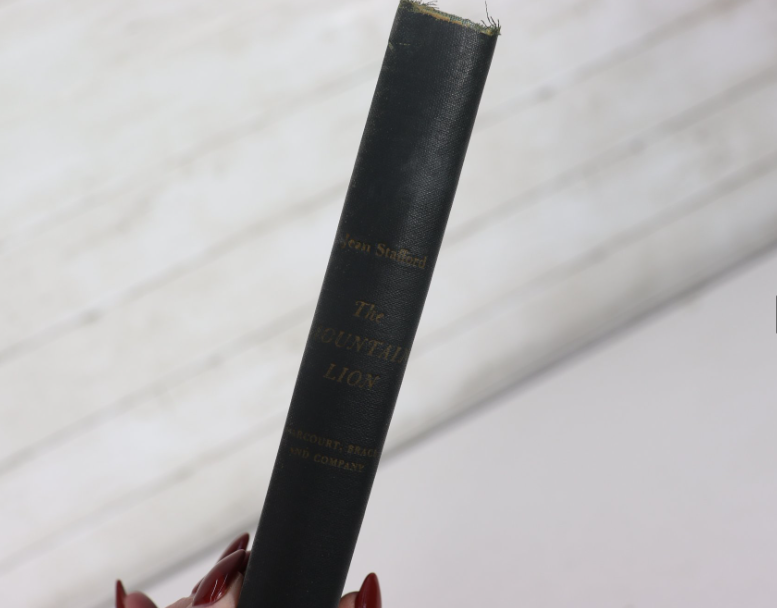 The Mountain Lion by Jean Stafford, Harcourt Brace hardcover in dark cloth without dust jacket, view 5