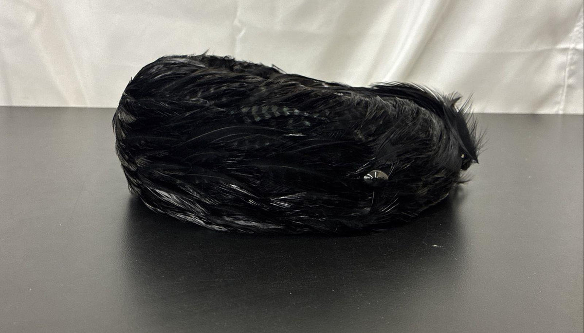 Vintage Black Feathered Cocktail Hat