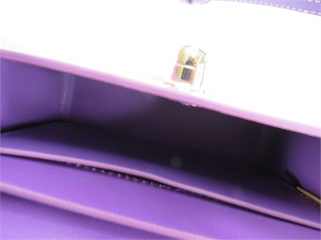 Dooney & Bourke Purple Leather Mini Crossbody Purse 5x8x3 (C5634)