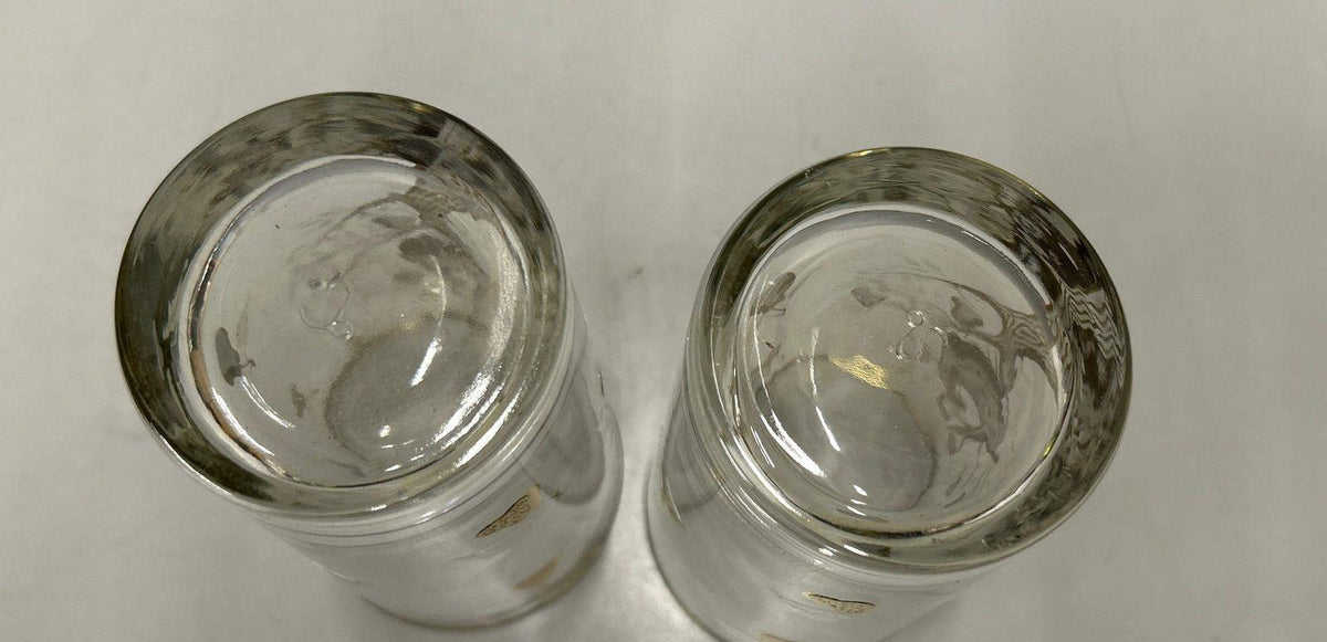 Culver Partridge in a Pear Tree Gold Overlay Tumbler Set of 2 Vintage