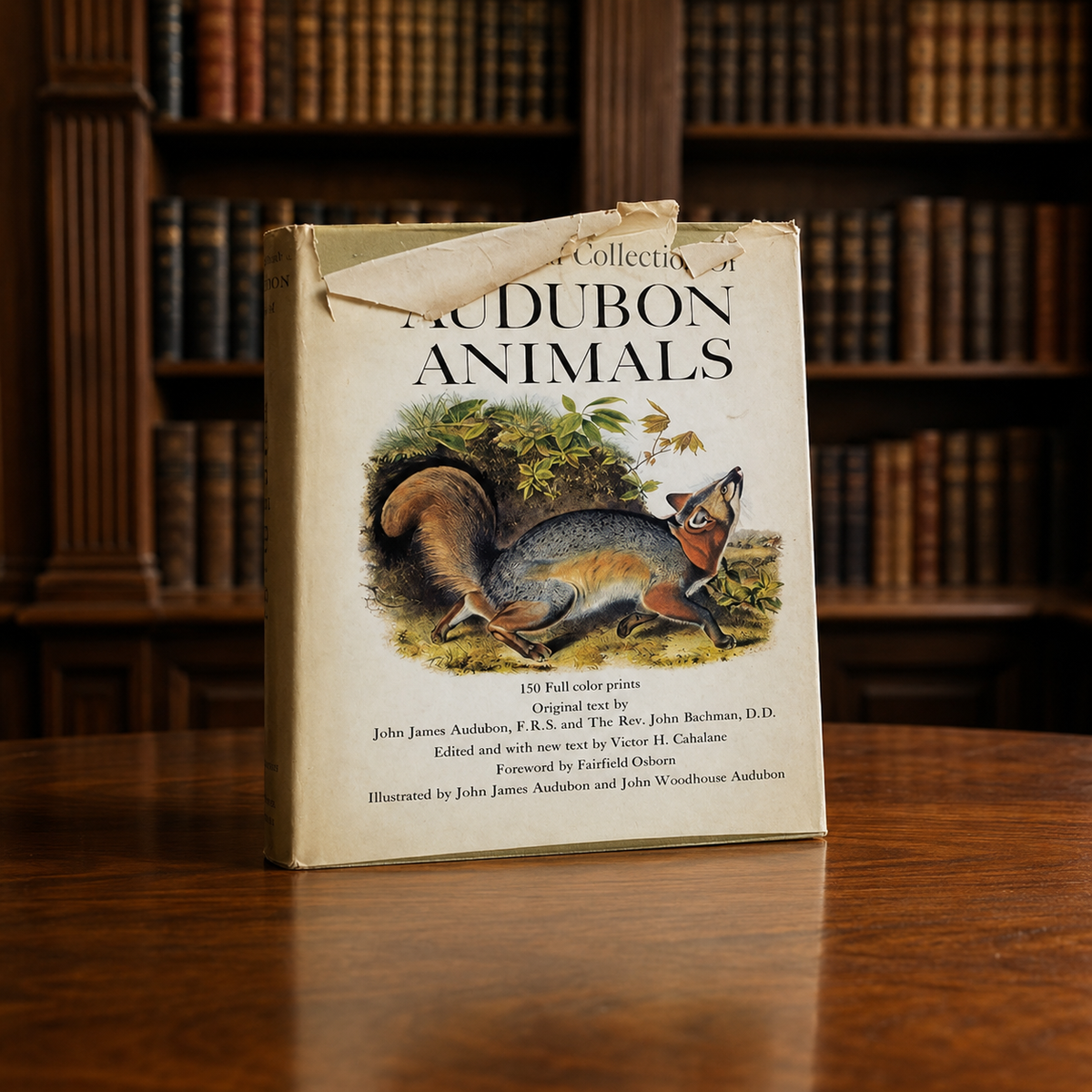 Imperial Collection of Audubon Animals large-format hardcover in dust jacket